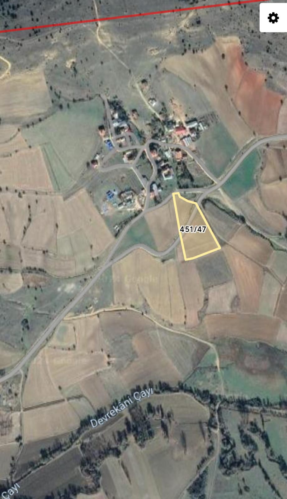Fotoğraf